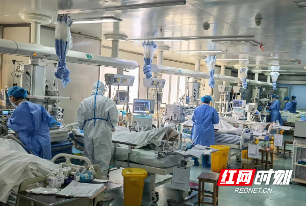 图片19.png 图片19.png