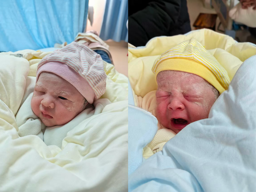 图片1.png 图片1.png