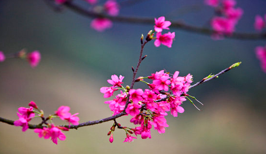 微信截图_20191017192621.png