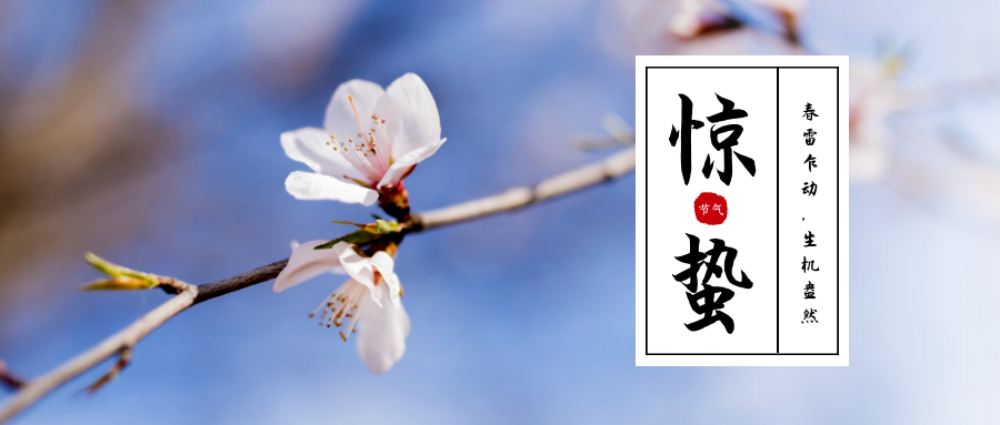 图怪兽_0fc8e4ffbf99ce4821826eaad04d0d57_63560.png